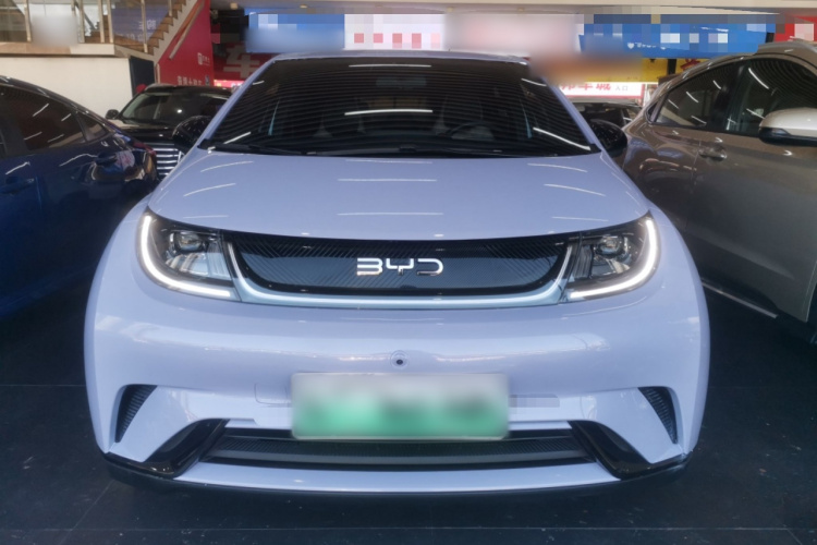 比亚迪 海豚 2023款 420km 自由版车身外观2