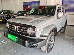 坦克300 2024款 2.0T 穿越者