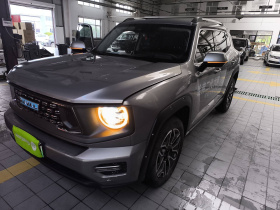 哈弗大狗 PLUS 新能源 2023款 DHT-PHEV 105km 潮电版Plus