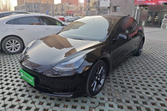 特斯拉 Model 3 2021款 标准续航后驱升级版