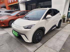 比亚迪 海鸥 2024款 荣耀版 305km 活力版