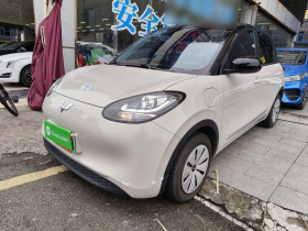 五菱汽车 五菱缤果 2024款 203km 轻享款