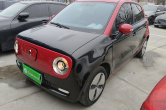 欧拉黑猫 2019款 301km 标准版