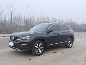 大众 探岳 2019款 330TSI 两驱豪华型 国VI