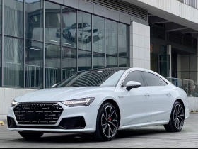 奥迪A7L 2022款 45 TFSI quattro S-line 圣骑士