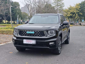 哈弗大狗 PLUS 新能源 2024款 Hi4 102km 潮电版Plus