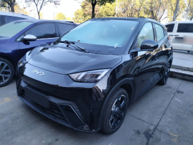 比亚迪 海鸥 2024款 荣耀版 405km 飞翔版