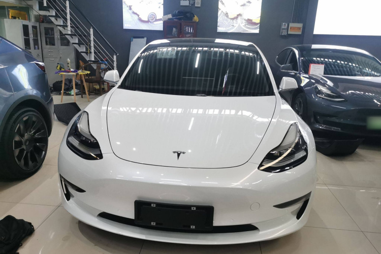 特斯拉 Model 3(进口) 2019款 长续航全轮驱动版车身外观6001
