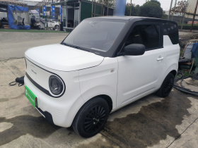 吉利银河 2023款 熊猫mini 200km 耐力熊