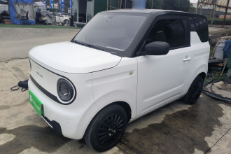 吉利银河 2023款 熊猫mini 200km 耐力熊
