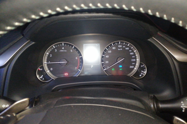 雷克萨斯RX 2020款 300 四驱典雅版 国VI局部细节14