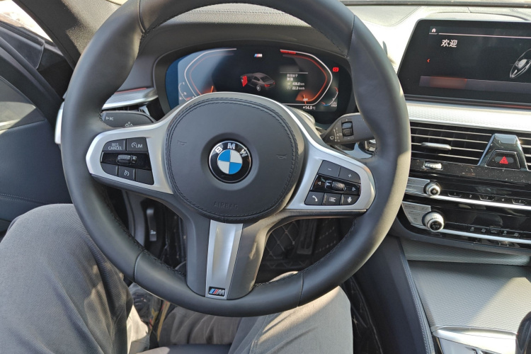 宝马5系(进口) 2020款 525i M运动套装局部细节13