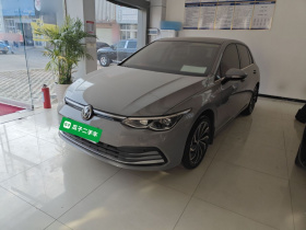 大众 高尔夫 2021款 280TSI DSG Pro 首发版