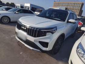 起亚 智跑 2021款 Ace 2.0L 精彩版