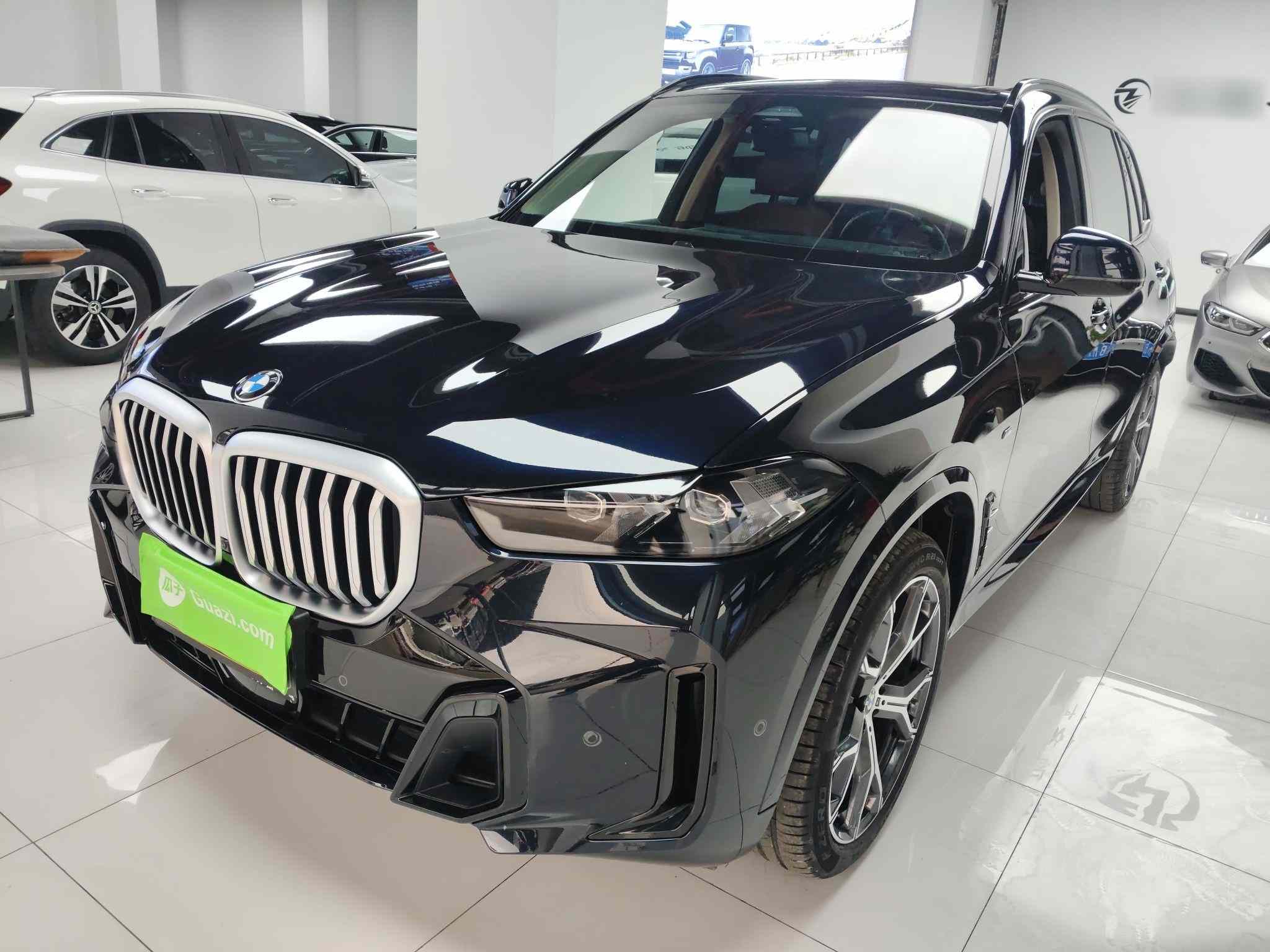 宝马X5 2023款 xDrive 30Li 尊享型M运动曜夜套装(2)