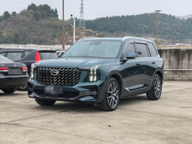 广汽传祺 传祺GS8 2022款 领航系列 2.0TGDI 两驱尊贵版（七座）