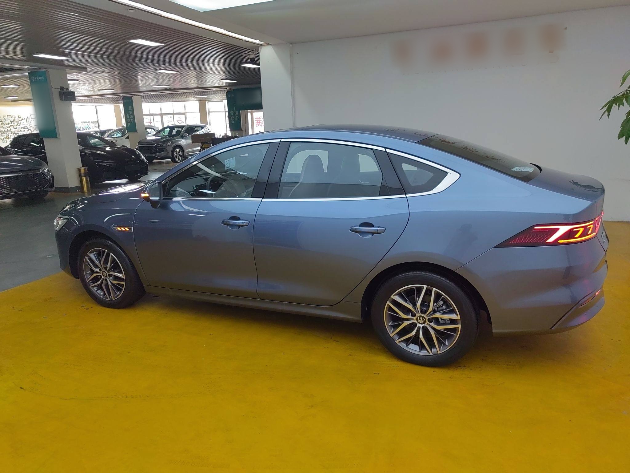 比亚迪 秦PLUS 2024款 荣耀版 EV 510KM卓越型