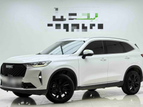 哈弗H6 2021款 第三代 2.0T 自动四驱Max