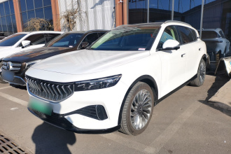 岚图汽车 岚图FREE 2021款 两驱标准纯电城市版