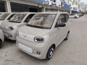 五菱汽车 宏光MINIEV 2024款 第三代 215km 青春版