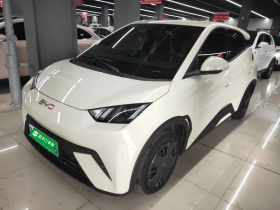 比亚迪 海鸥 2025款 305km 活力版