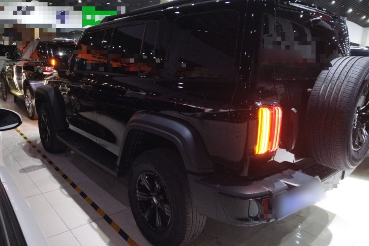 坦克300 2024款 2.0T 征服者车身外观4