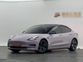 特斯拉 Model 3 2021款 改款 标准续航后驱升级版 3D1