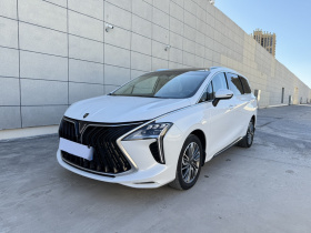 东风风行 风行游艇 2022款 1.5T DCT逐浪版