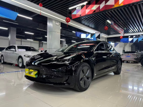 特斯拉 Model 3 2019款 标准续航后驱升级版