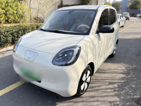 五菱汽车 宏光MINIEV 2025款 四门版 进阶款