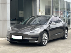 特斯拉 Model 3 2019款 标准续航后驱升级版