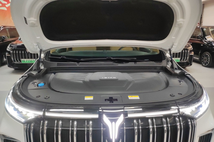 岚图汽车 岚图梦想家 2022款 低碳版 想+智驾包局部细节24