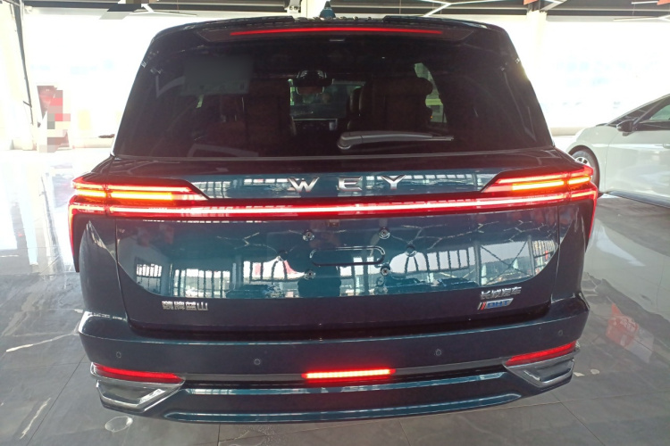 魏牌 蓝山 2023款 四驱超长续航版车身外观6004