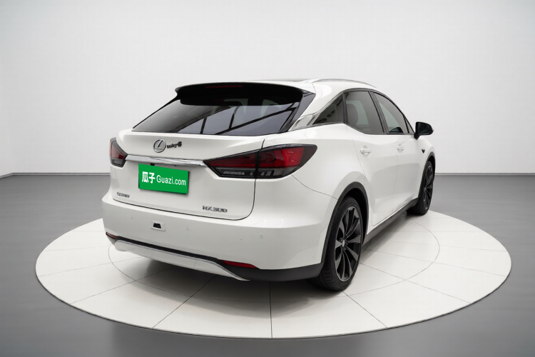 雷克萨斯RX 2020款 300 两驱精英版 国VI车身外观6