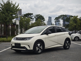 比亚迪 海豚 2023款 420km 时尚版