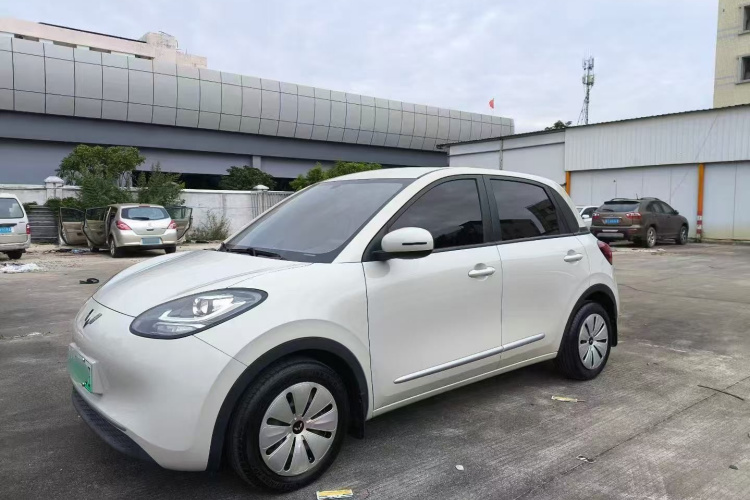 五菱汽车 五菱缤果 2023款 203km 轻享款车身外观6003