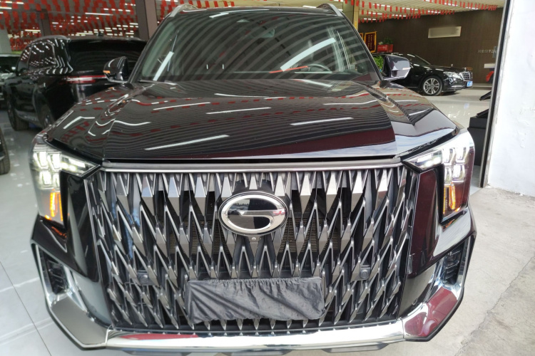 广汽传祺 传祺GS8 2022款 双擎系列 2.0TM 四驱尊贵版 （七座）车身外观6001