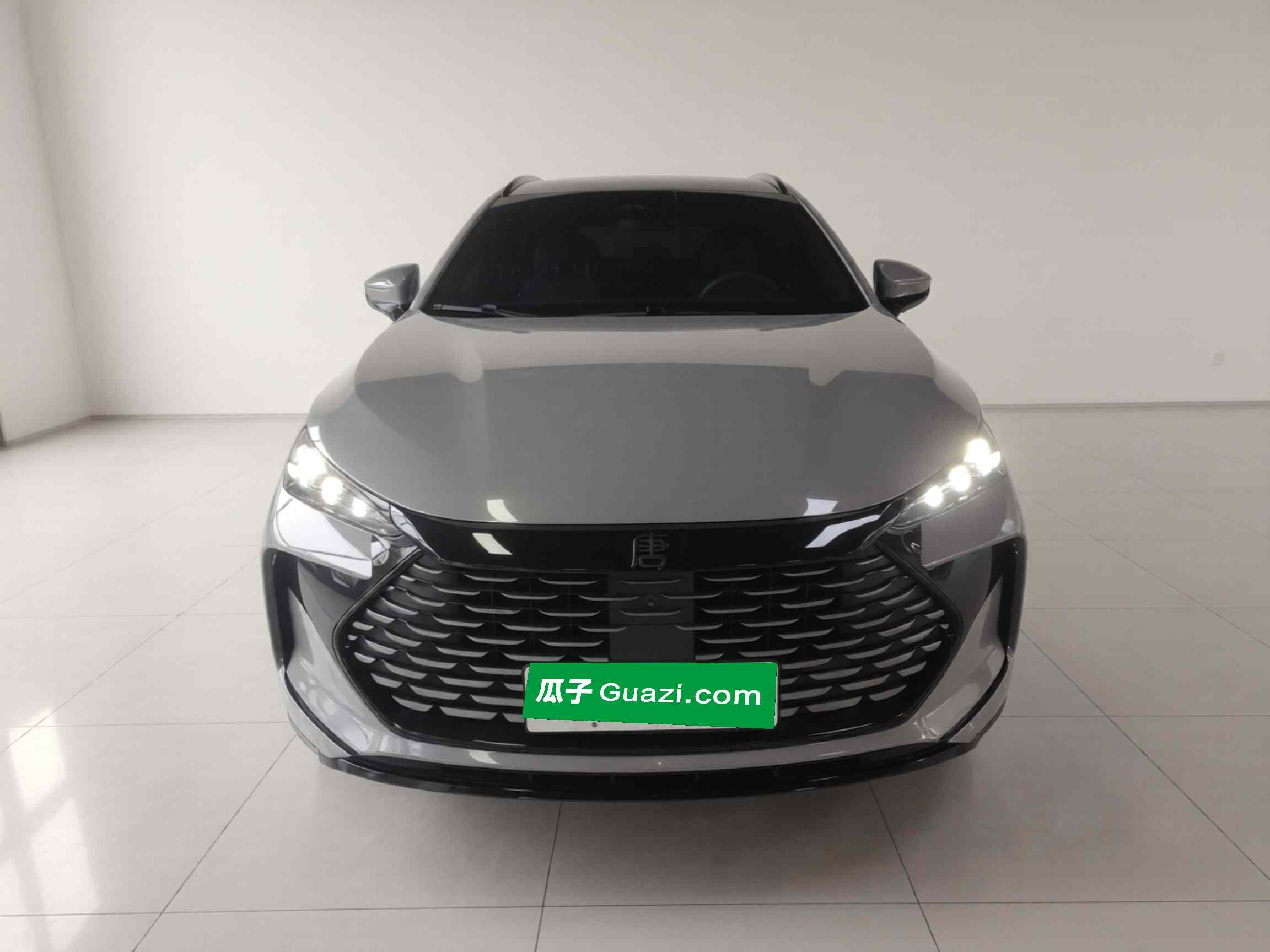 比亚迪 唐新能源 2025款 DM-i 115KM 尊荣型(1)