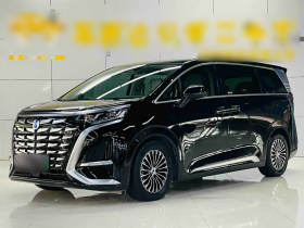 腾势D9 2024款 DM-i 970 豪华型