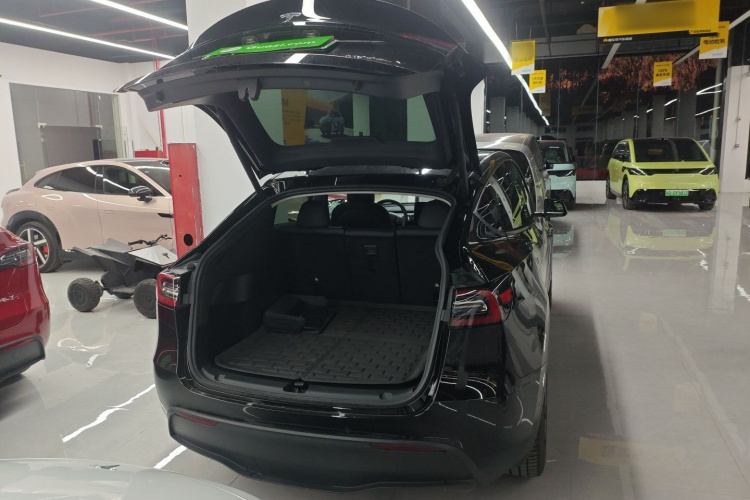 特斯拉 Model Y 2021款 长续航全轮驱动版 3D7机舱底盘23