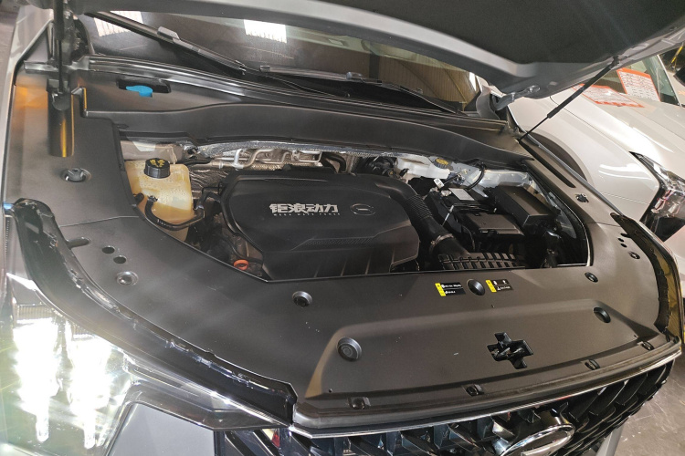 广汽传祺 传祺GS8 2022款 领航系列 2.0TGDI 四驱豪华智联版（六座）局部细节24