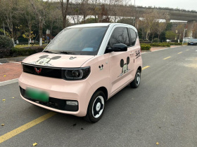 五菱汽车 宏光MINIEV 2021款 马卡龙时尚款 磷酸铁锂