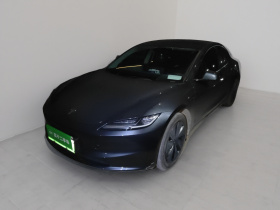 特斯拉 Model 3 2023款 后轮驱动版