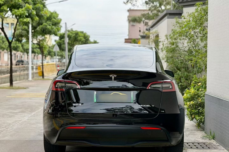 特斯拉 Model Y 2021款 标准续航后驱版车身外观6005