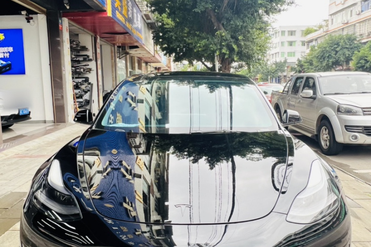 特斯拉 Model 3 2021款 标准续航后驱升级版 3D6车身外观6001