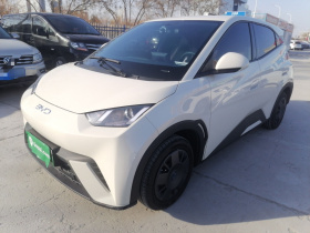 比亚迪 海鸥 2025款 305km 活力版