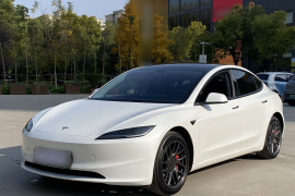 特斯拉 Model 3 2023款 后轮驱动版