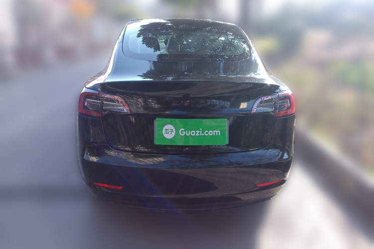 特斯拉 Model 3 2021款 标准续航后驱升级版车身外观6004