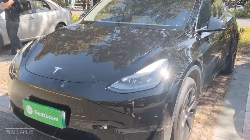 特斯拉 Model Y 2024款 长续航全轮驱动版检测视频1