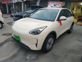 吉利银河 星愿 2026款 310km 青春版